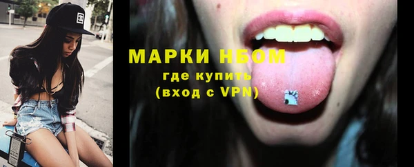 гашик Новокубанск