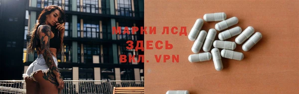 стафф Новодвинск