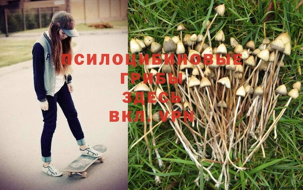 кокаин Новозыбков