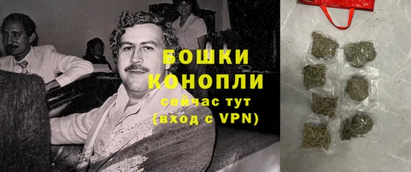 стафф Новодвинск