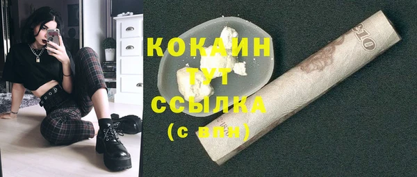 стафф Новодвинск