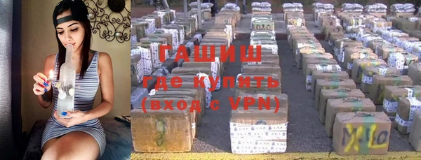 стафф Новодвинск