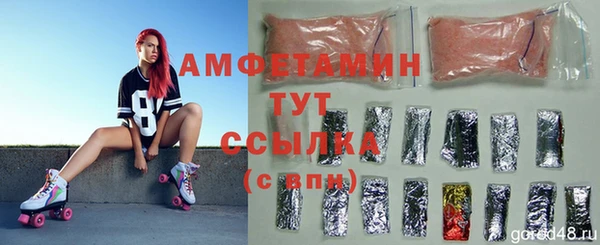 стафф Новодвинск