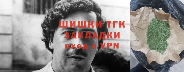стафф Новодвинск