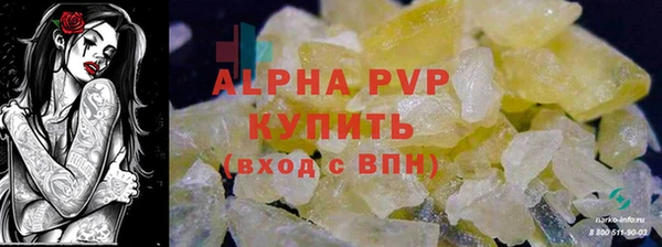 стафф Новодвинск